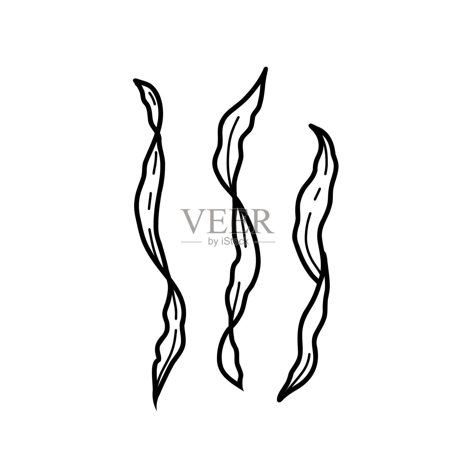 海藻，海带藻类。水下海洋植物矢量插图在涂鸦风格孤立的白色背景。插画图片素材