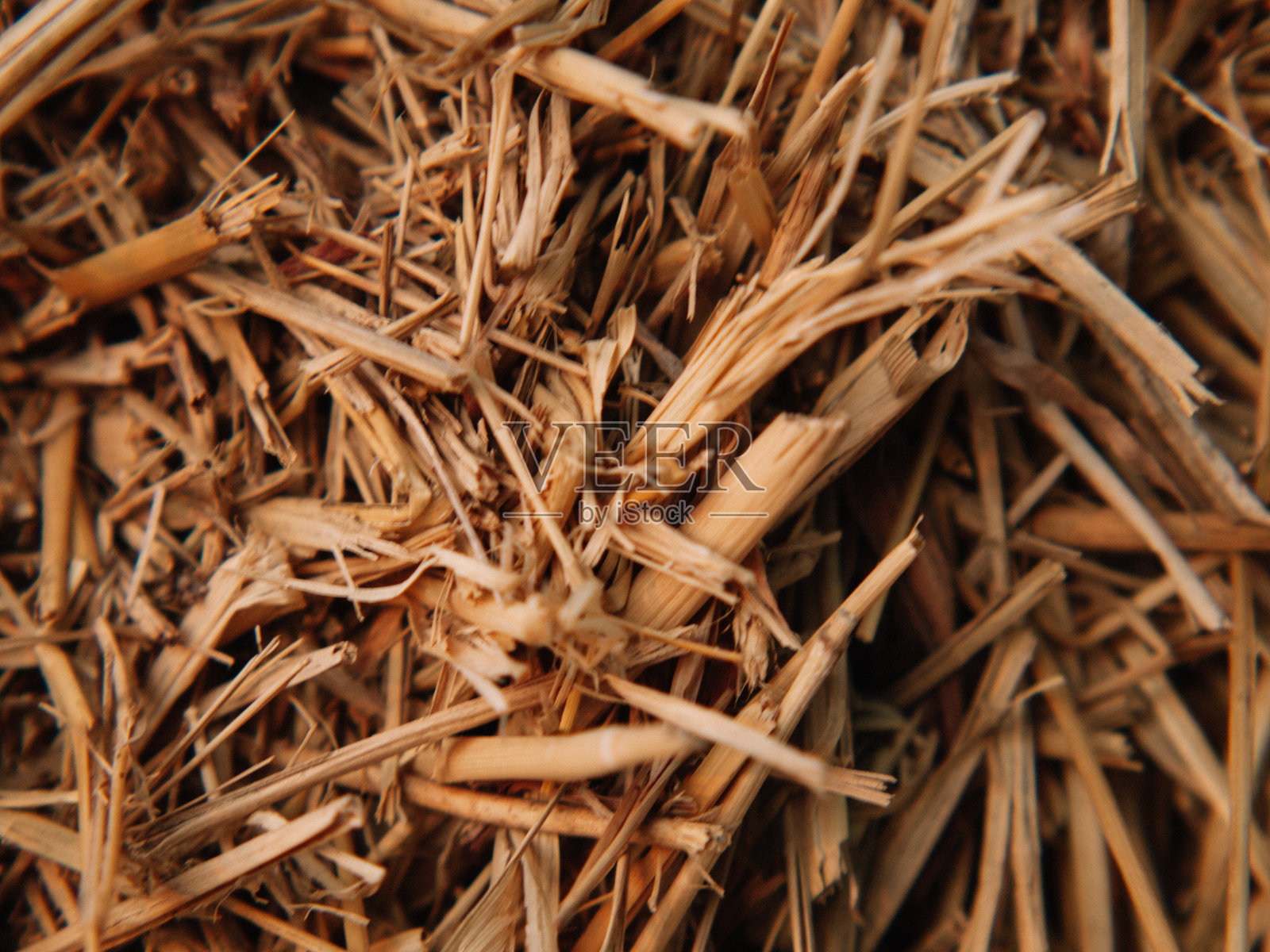 牲畜用干草照片摄影图片