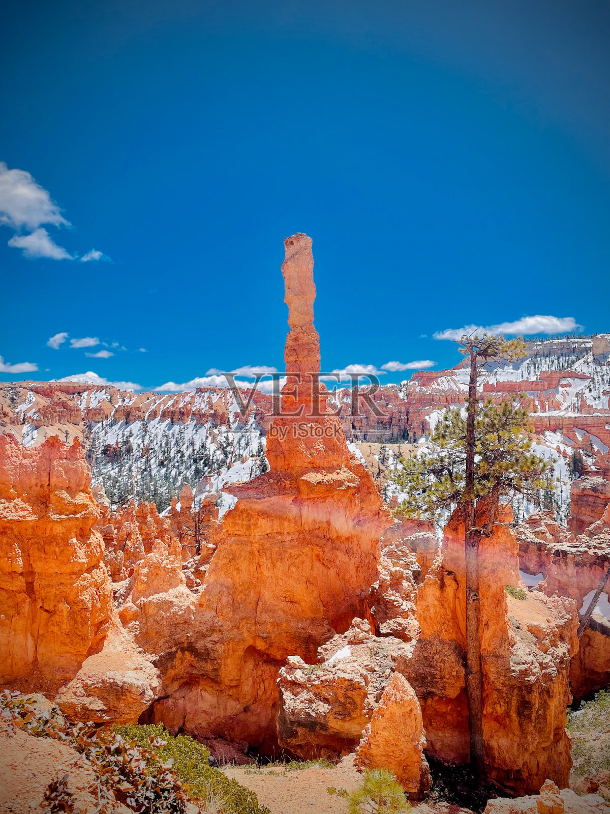 布莱斯峡谷国家公园照片摄影图片