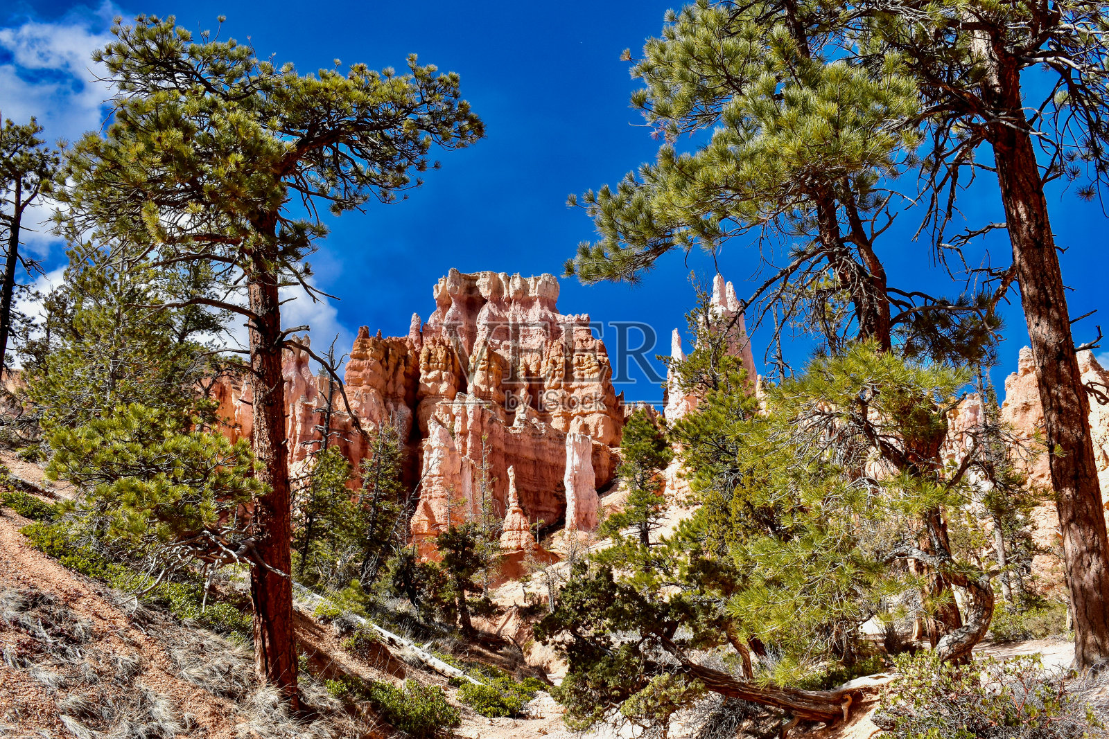 布莱斯峡谷国家公园照片摄影图片