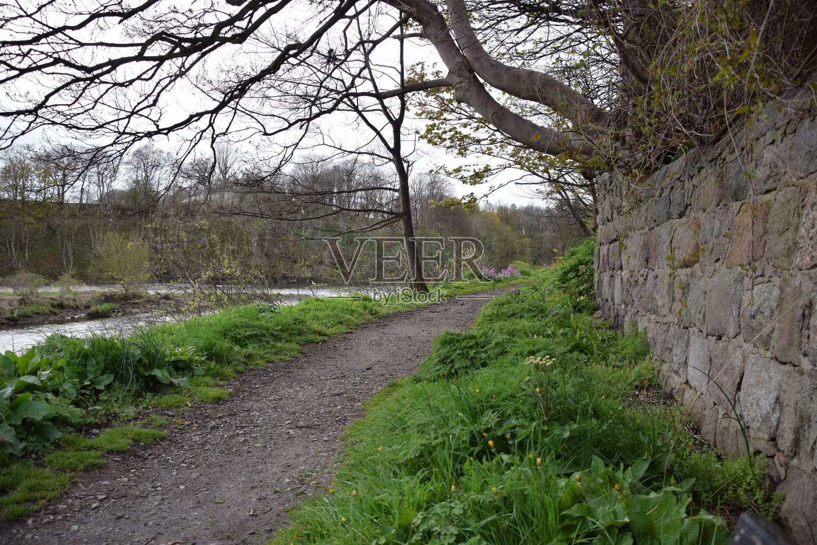 唐茅斯自然保护区照片摄影图片