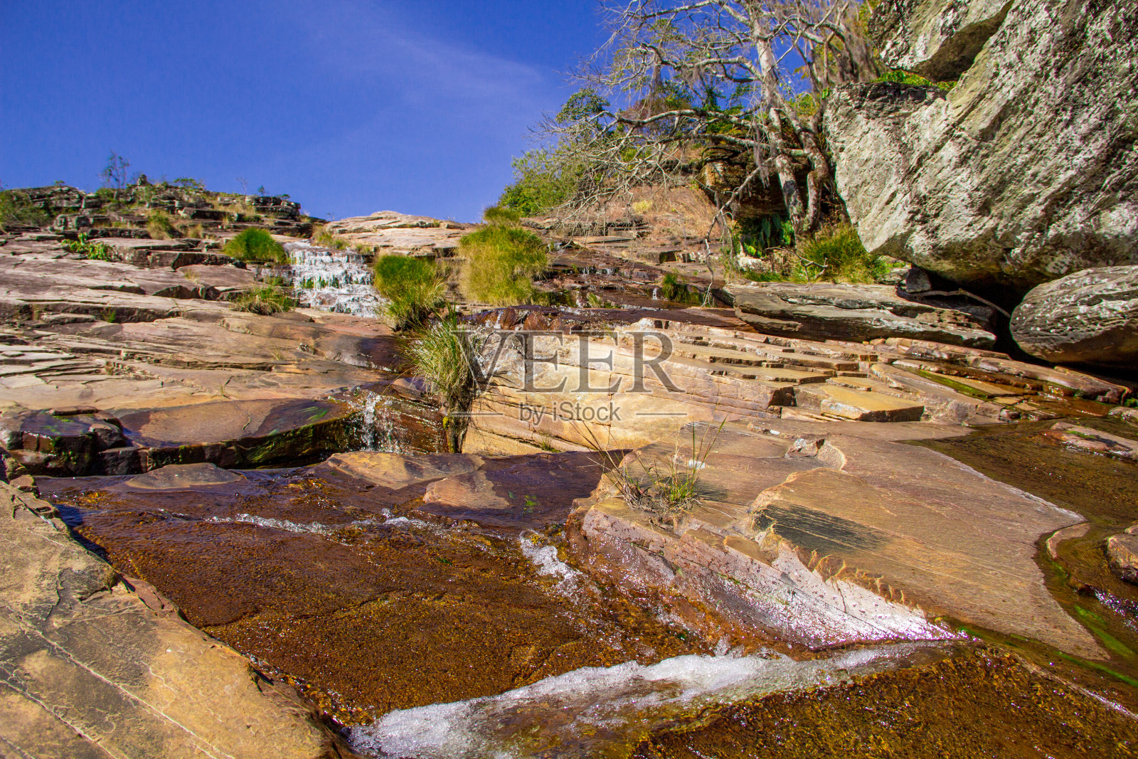 《美丽的家园》-MG照片摄影图片