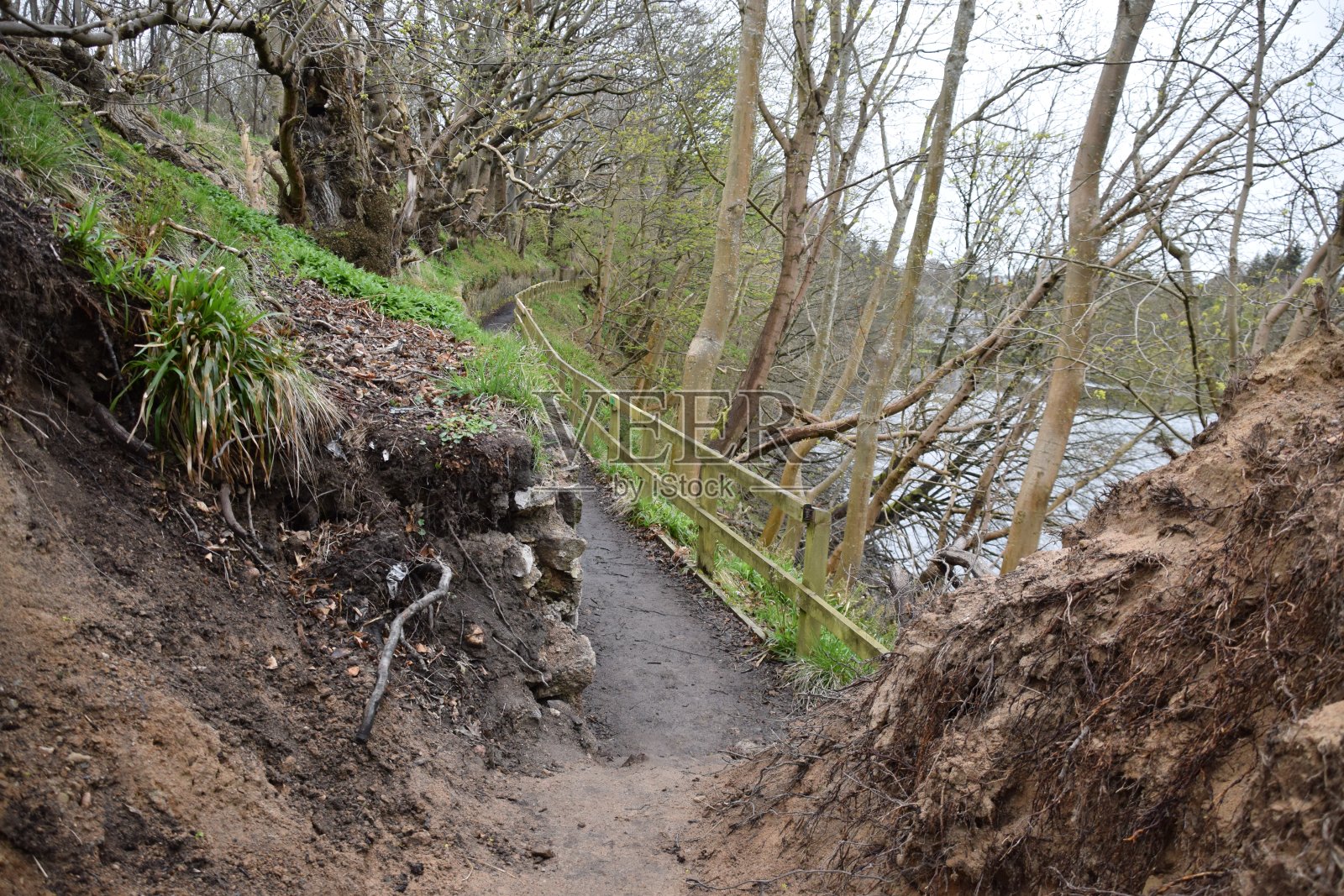 唐茅斯自然保护区照片摄影图片
