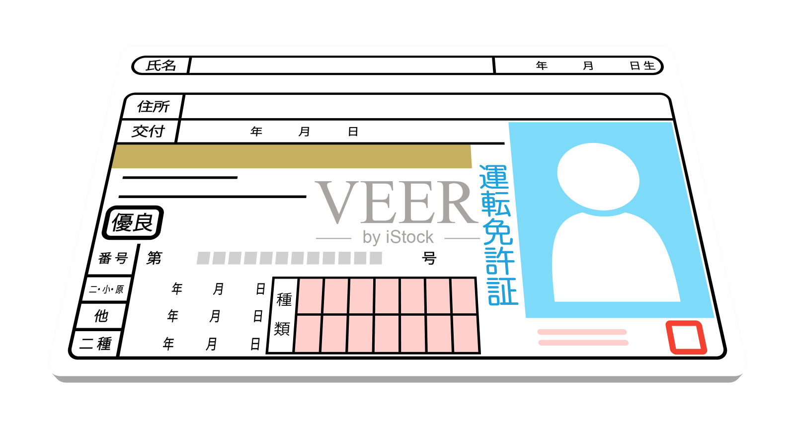 驾驶执照隔离矢量插图插画图片素材