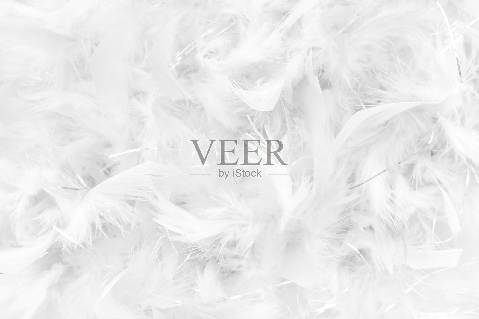 白色羽毛细节背景照片摄影图片