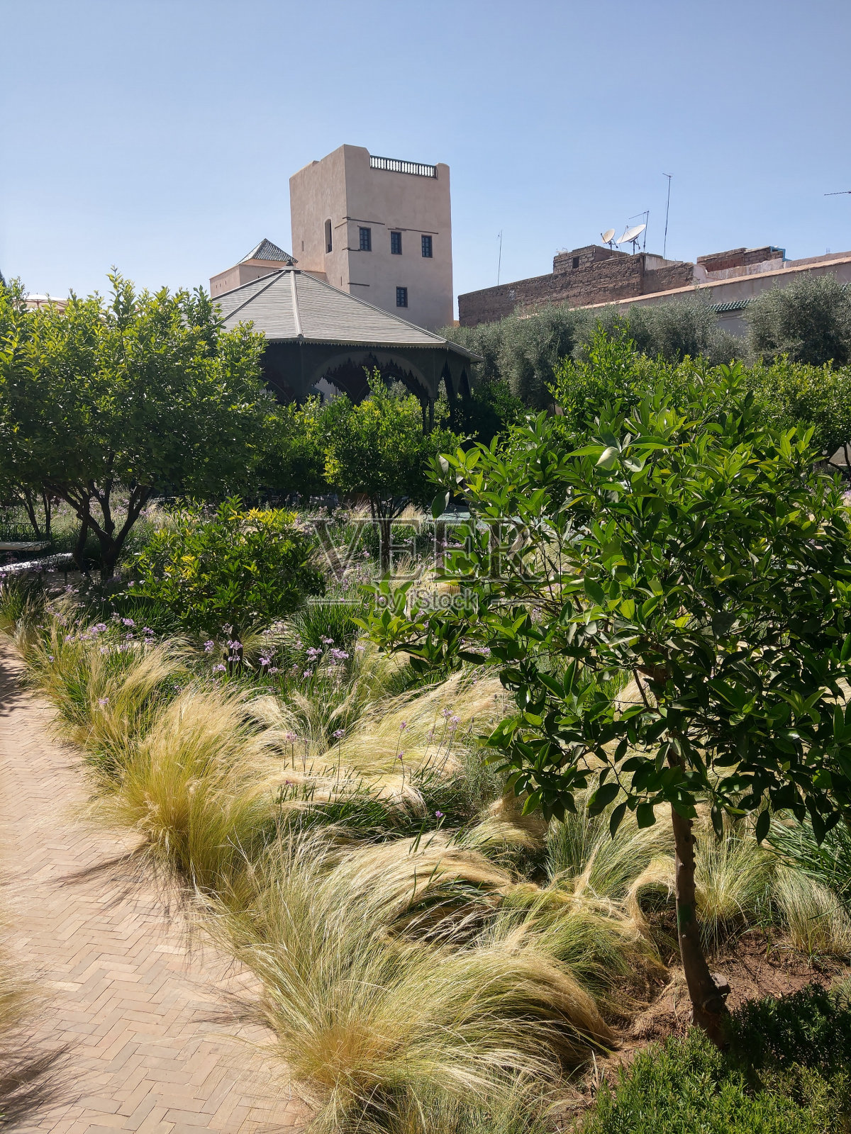 花园马拉喀什照片摄影图片