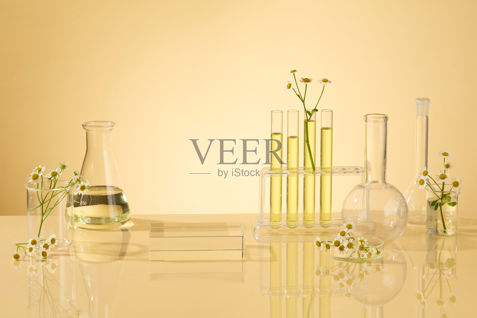 舞台展示在基座上展示从雏菊花中提取的产品，装饰有透明的方形讲台，烧杯，erlenmeyer烧瓶和装满黄色液体的烧瓶照片摄影图片