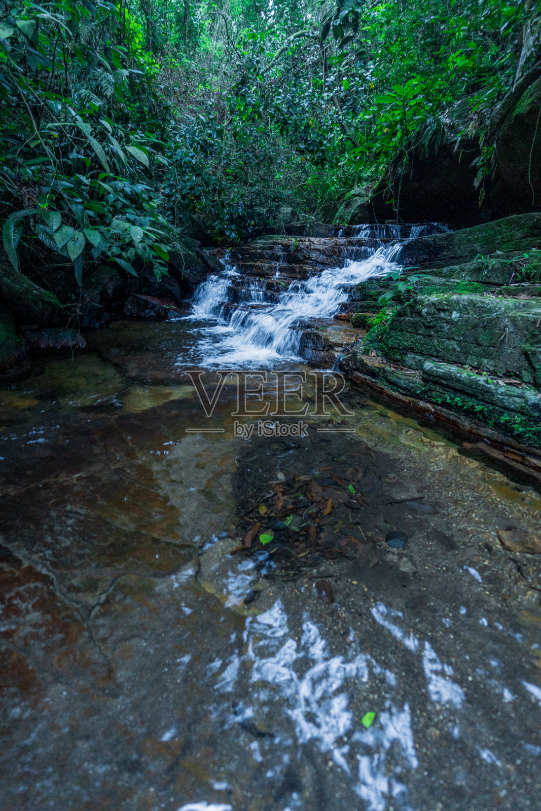 河流和瀑布是里约热内卢大西洋森林中的蒂茹卡国家公园的自然美景。徒步旅行者和游客可以沿着小径欣赏和沐浴河水。照片摄影图片