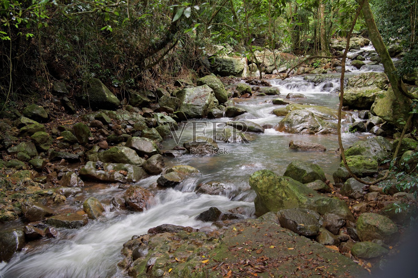 永恒的水:天然桥的不屈之美，黄金海岸的宝石，昆士兰州斯普林布鲁克照片摄影图片