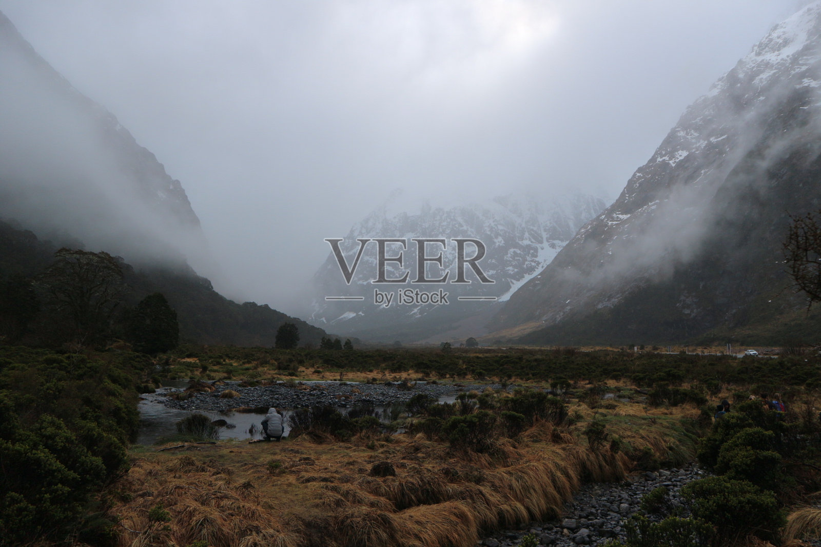 神秘的森林。照片摄影图片