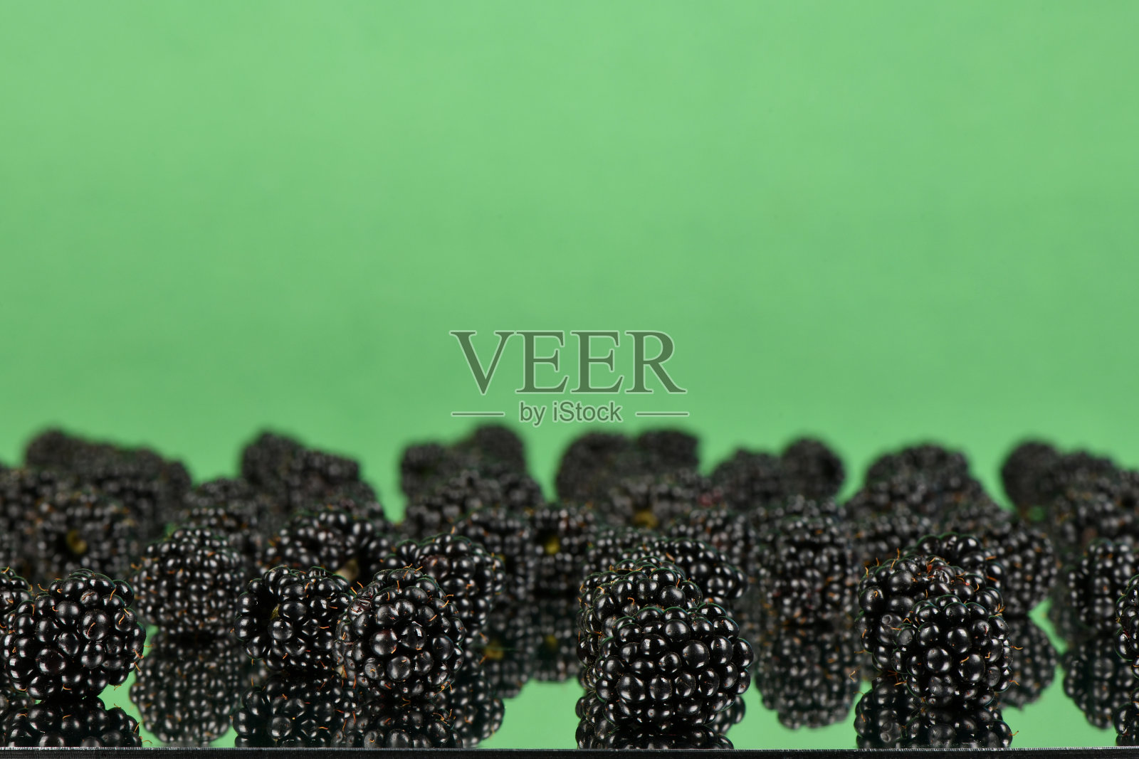 黑莓果实呈浅绿色。侧视图。有选择性的重点。照片摄影图片