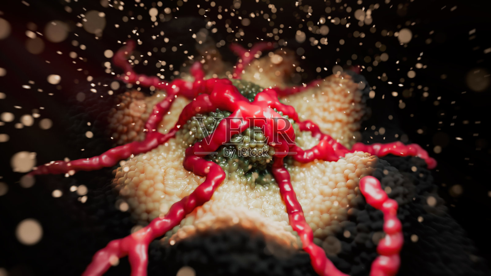 癌细胞视图照片摄影图片