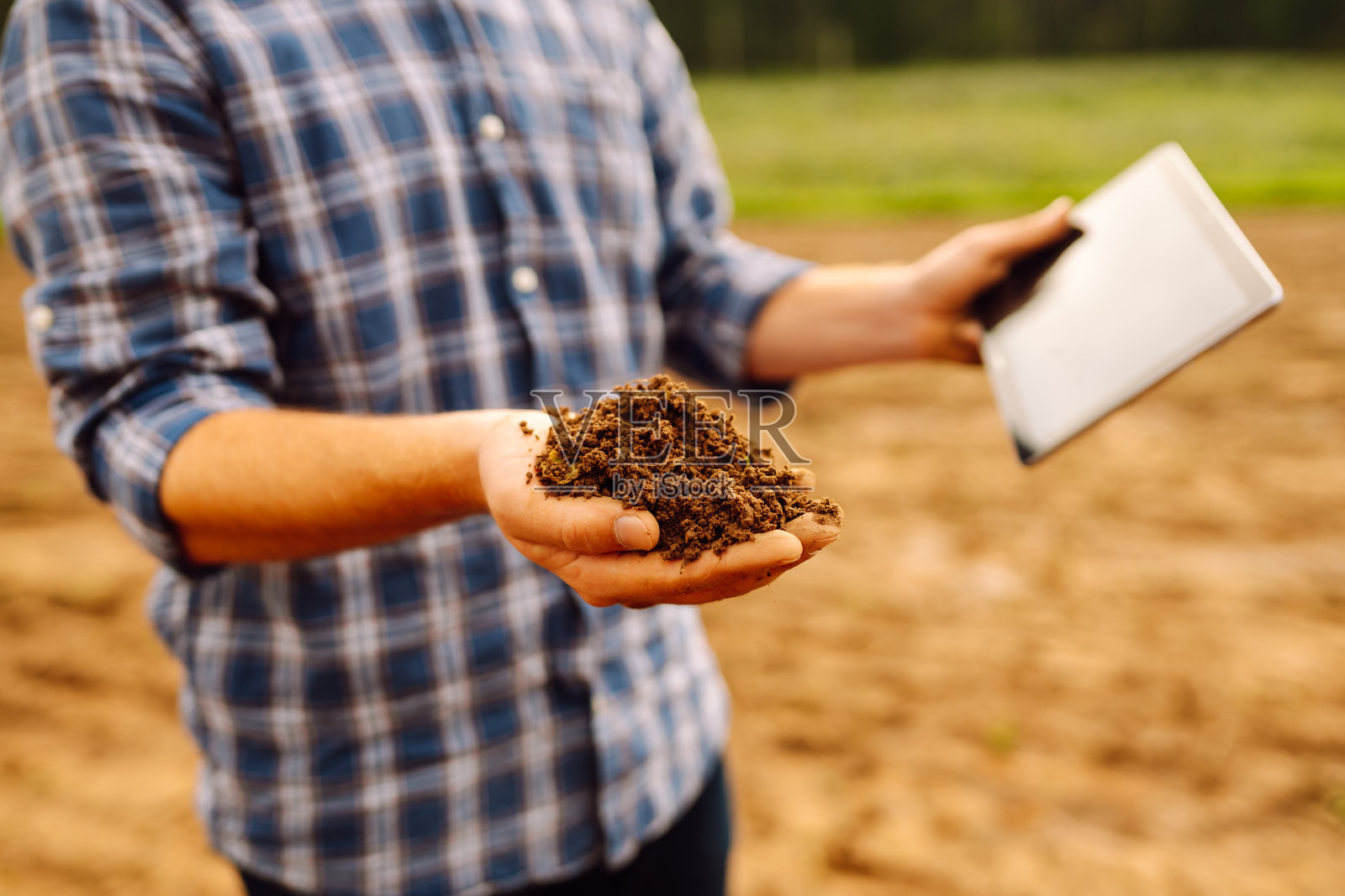 农艺师的男性双手整理并检查土壤的质量。照片摄影图片