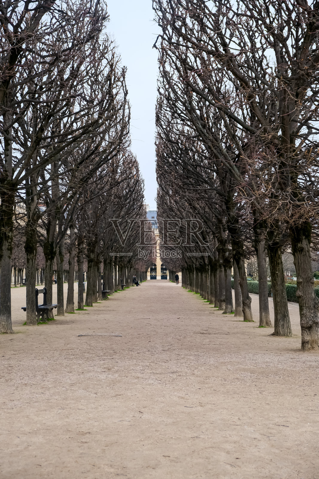 法国巴黎的皇家花园照片摄影图片