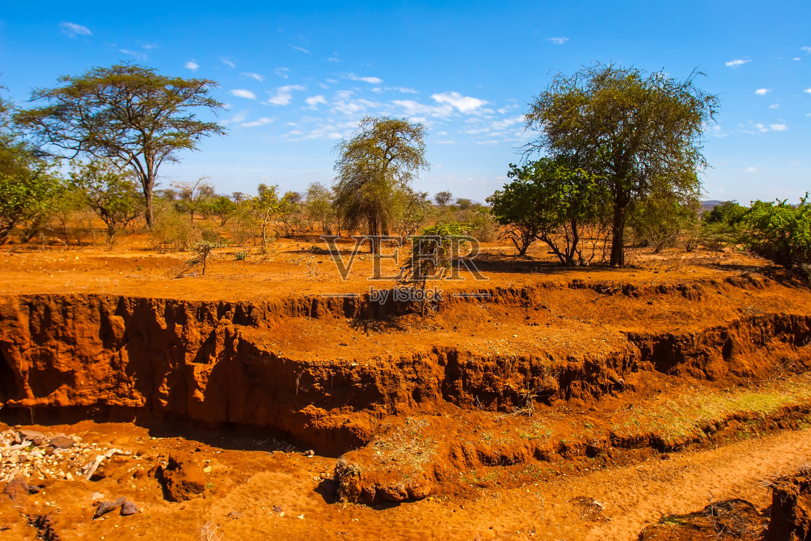 河床干涸的河床非洲。干河。肯尼亚的动物世界。非洲的自然。驾车前往肯尼亚国家公园。照片摄影图片