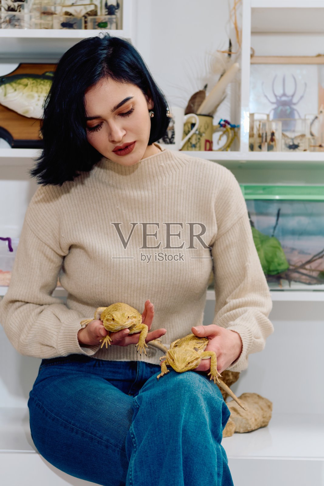 美女和她的两只可爱的大胡子龙宠物合影照片摄影图片