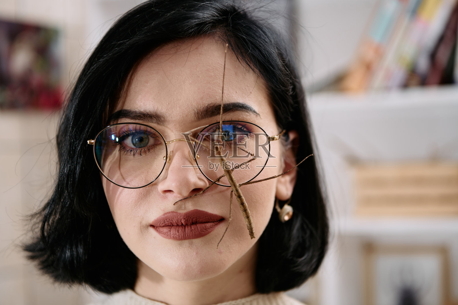 年轻女子和她的竹节虫(Medauroidea exentata)在美丽的时刻被捕捉到照片摄影图片