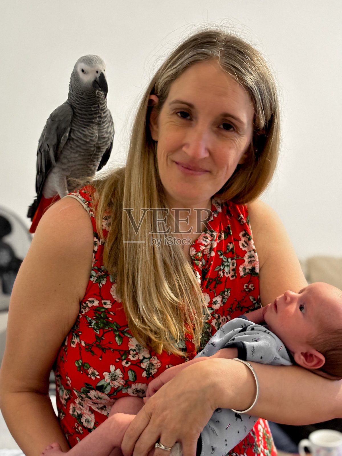 新妈妈，新出生的孩子和非洲灰鹦鹉全家福照片摄影图片