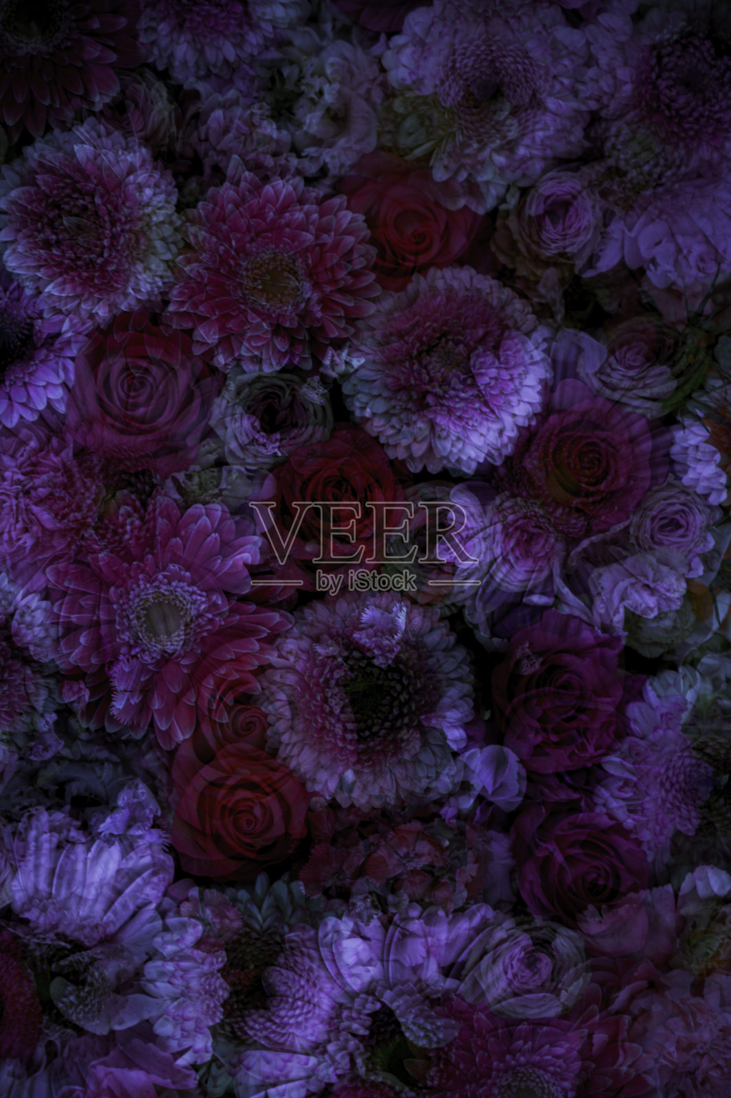 立体摄影术照片摄影图片