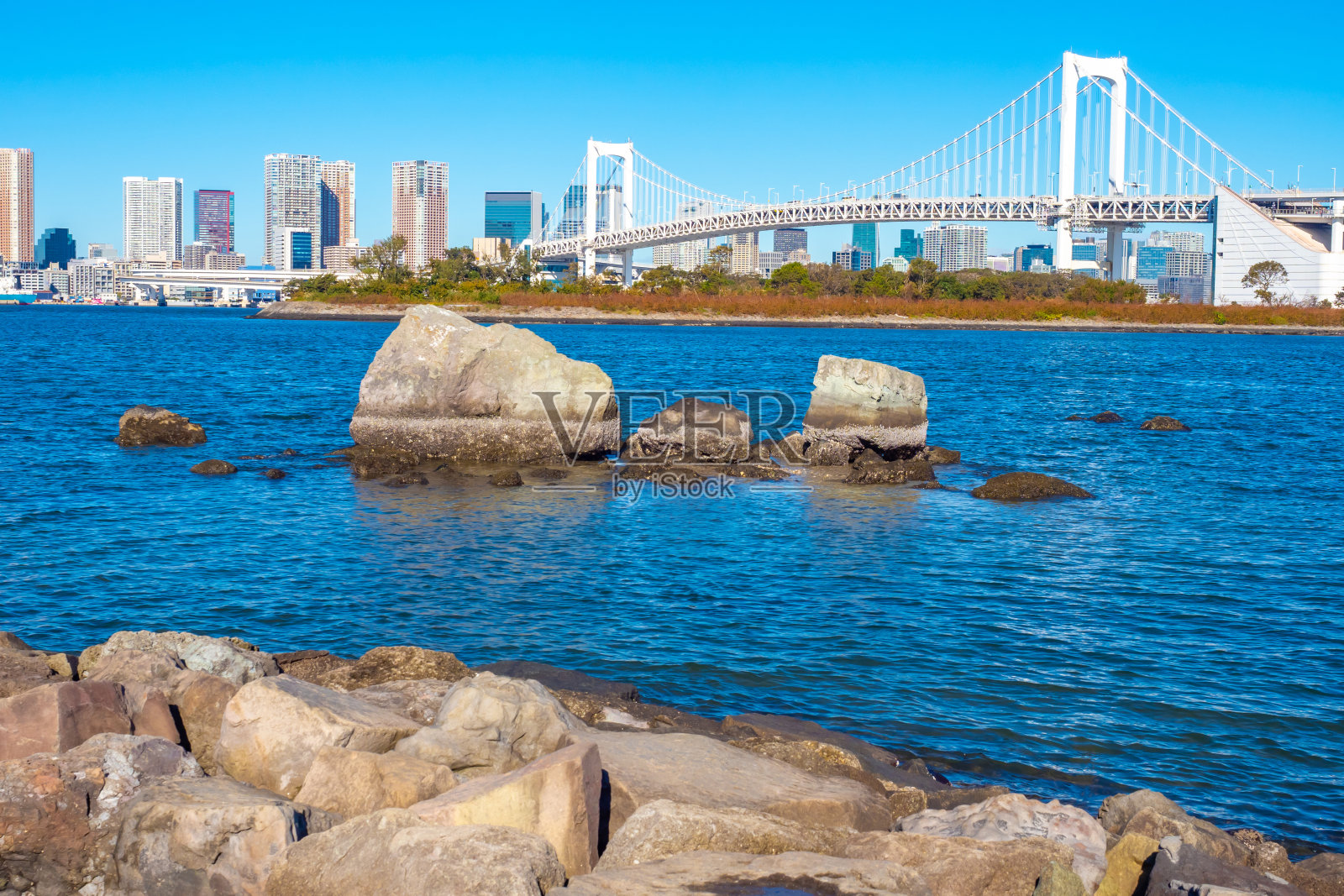 日本。东京。从东京湾岸边看彩虹桥。台场岛。日本全景。东京的商业区。去日本旅游。照片摄影图片