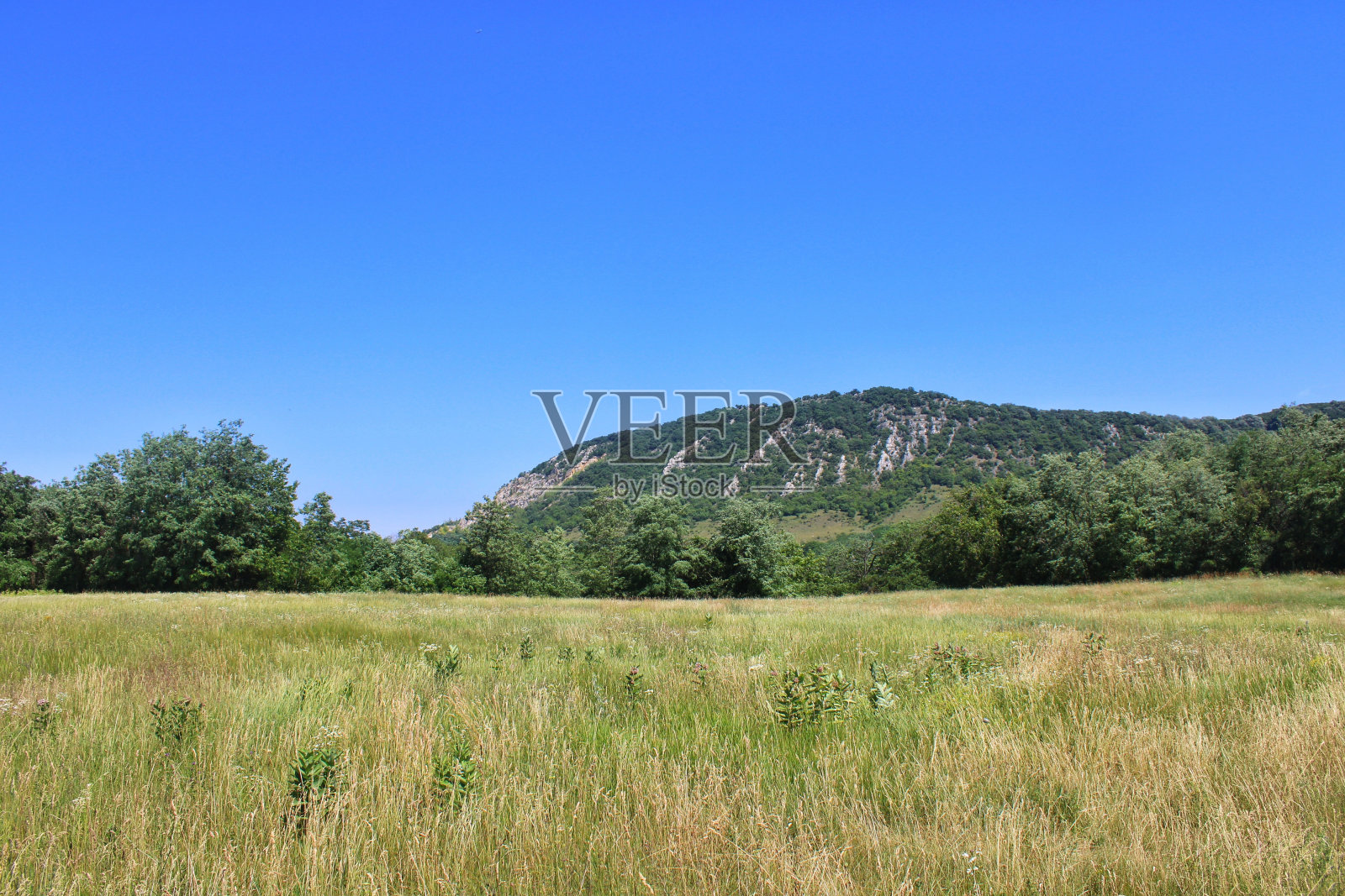 洛矶山照片摄影图片