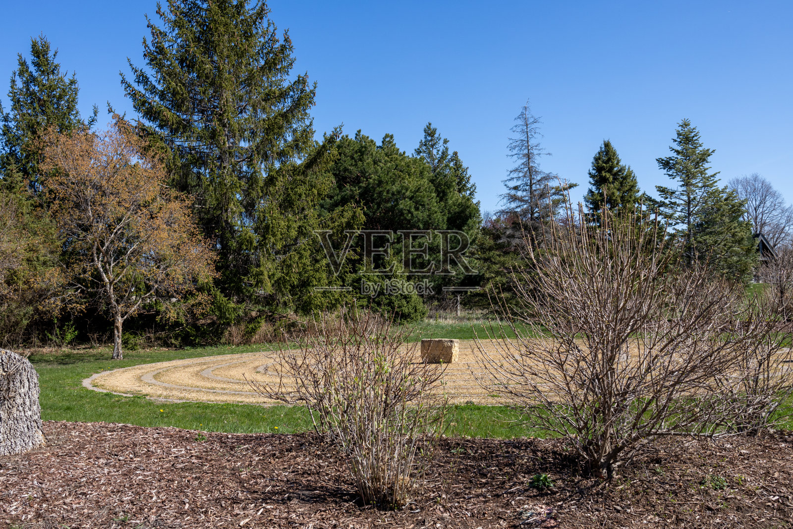 古斯塔夫·阿道夫斯学院的植物园照片摄影图片