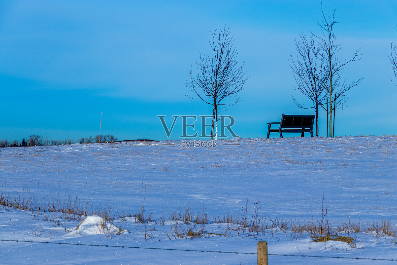 下雪的农民田地，加拿大阿尔伯塔省洛基维尤县照片摄影图片
