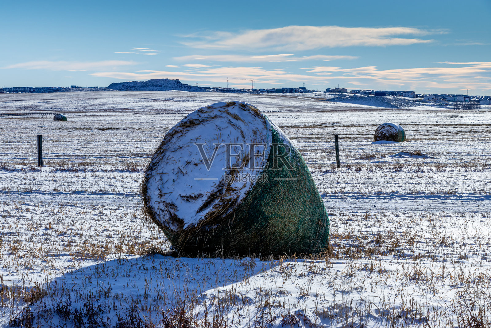 下雪的农民田地，加拿大阿尔伯塔省洛基维尤县照片摄影图片