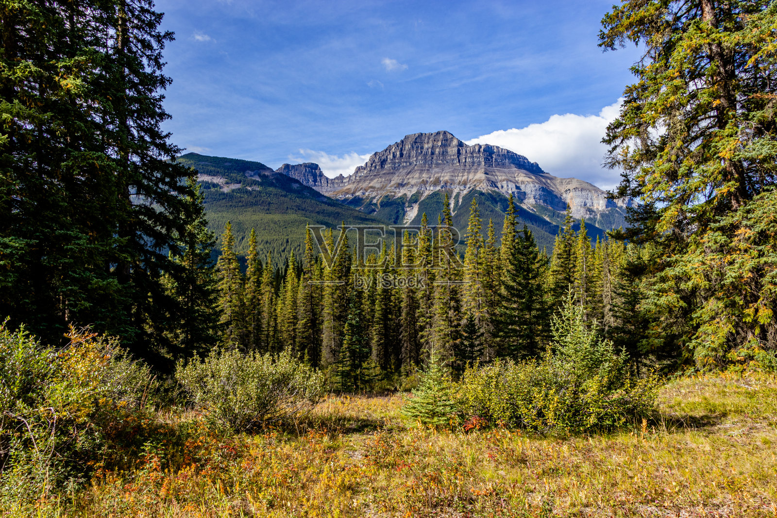 Bow Valley Pkwy Banff国家公园，加拿大阿尔伯塔省照片摄影图片