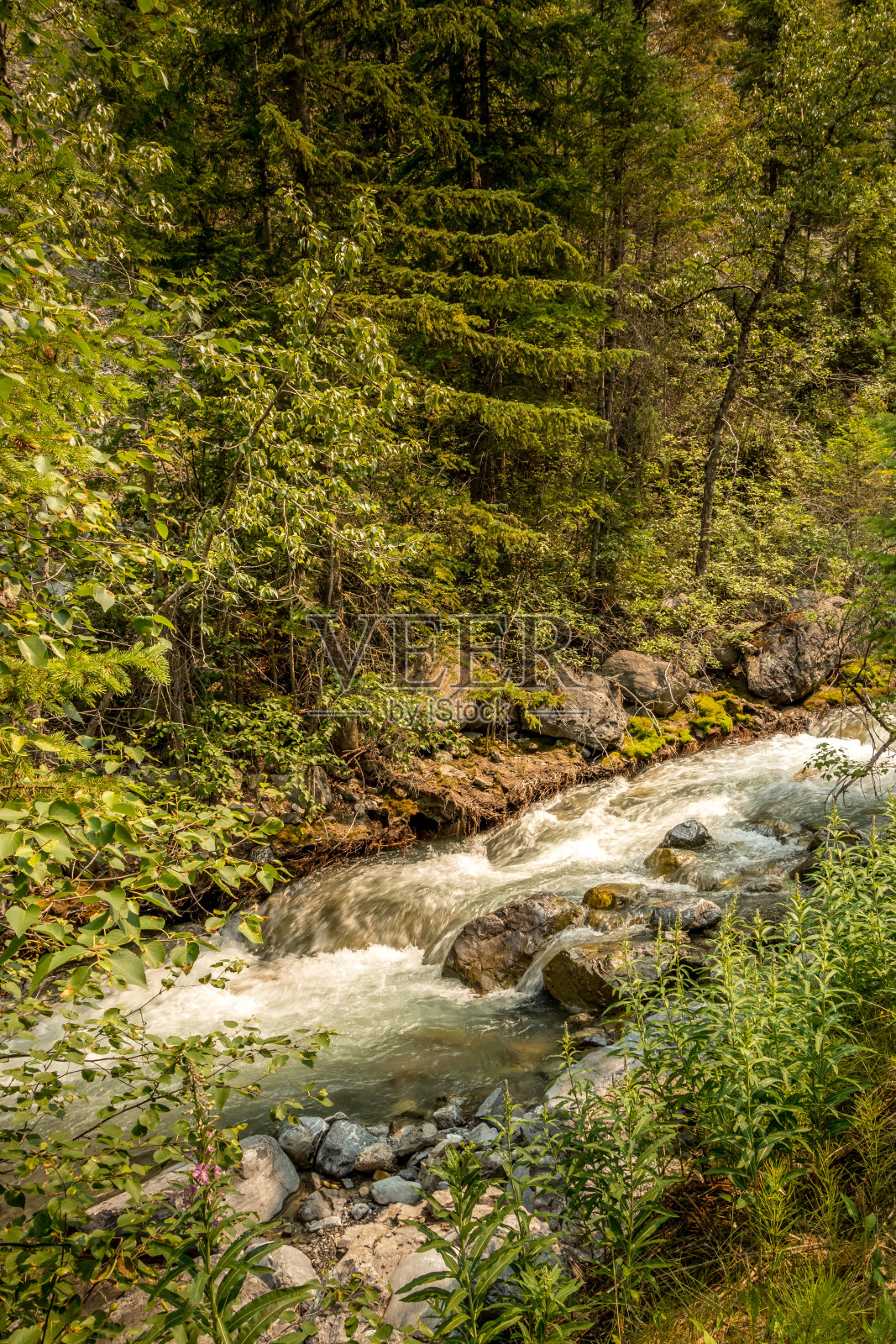 路边小溪班夫温德默HWY库特尼国家公园不列颠哥伦比亚省加拿大照片摄影图片