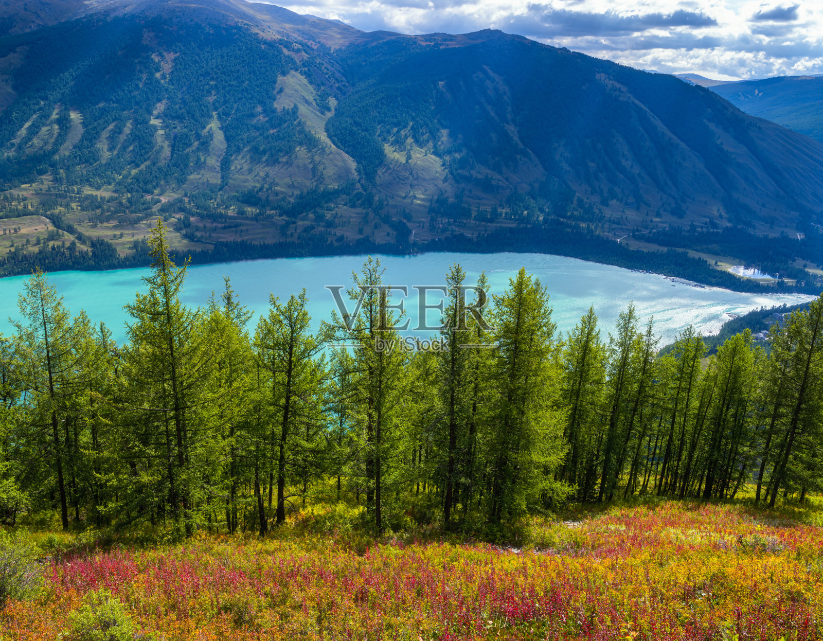中国新疆阿勒泰喀纳斯风景区风景照片摄影图片