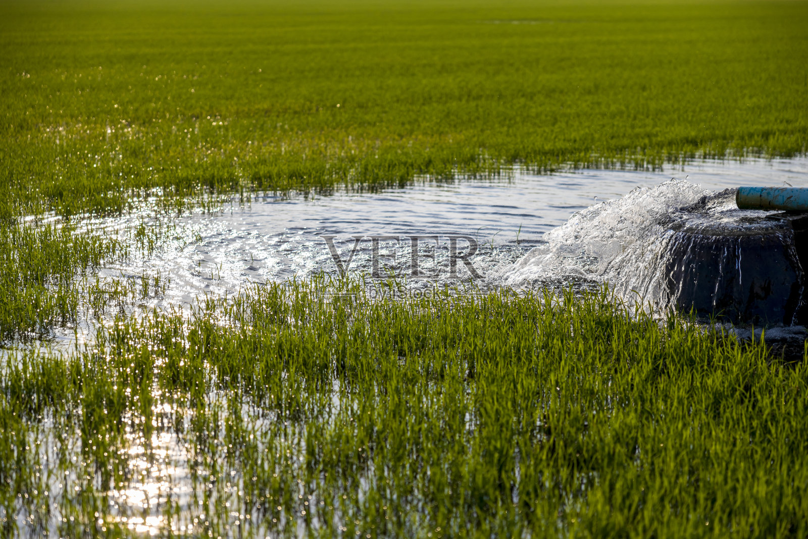 近距离低角度的水从泵送通过混凝土盆的管道流出。照片摄影图片