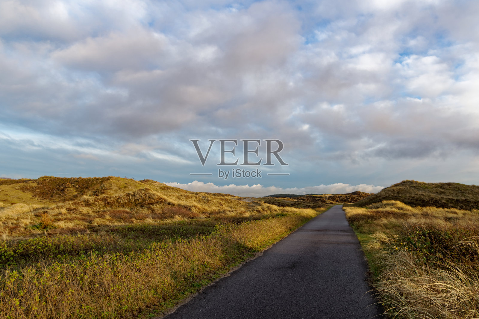 沙丘在Schoorl，北荷兰景观，海滨气候。照片摄影图片