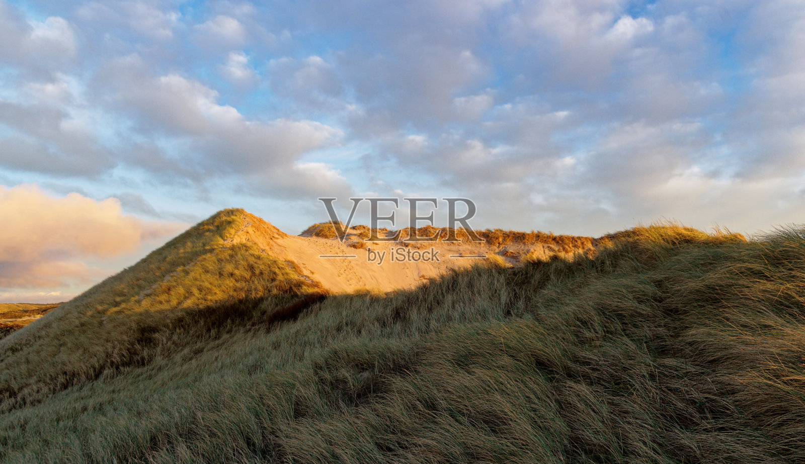 沙丘在Schoorl，北荷兰景观，海滨气候。照片摄影图片
