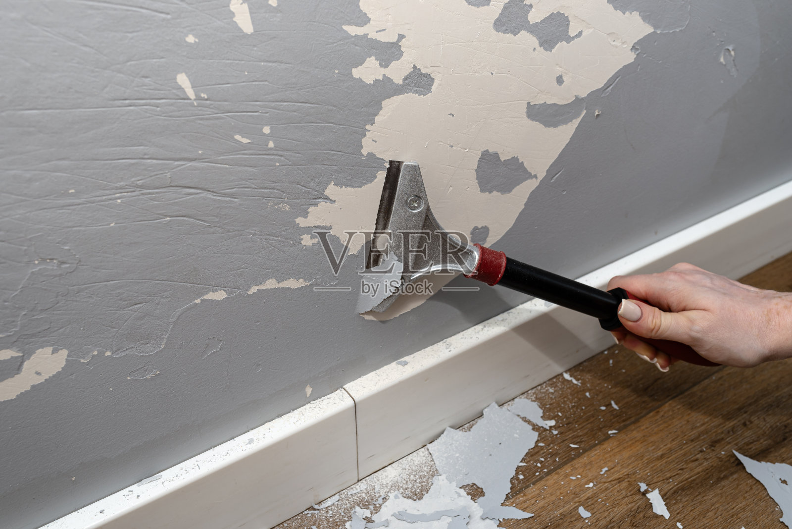 用油漆和粘合剂刮板从被狗爪损坏的墙上清除硅树脂漆，可以看到女人的手。照片摄影图片