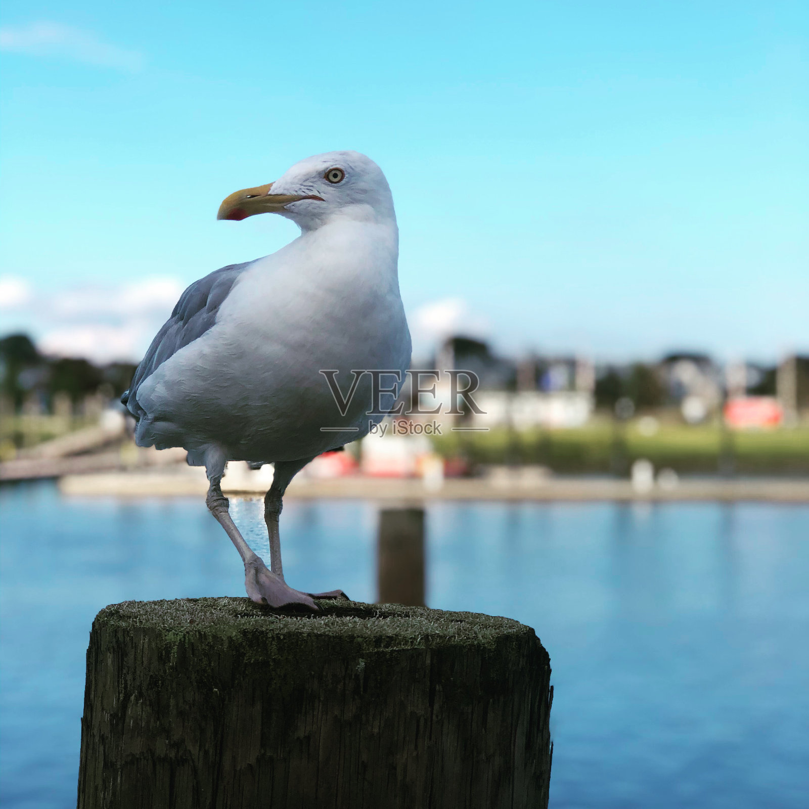 吃饭的客人照片摄影图片