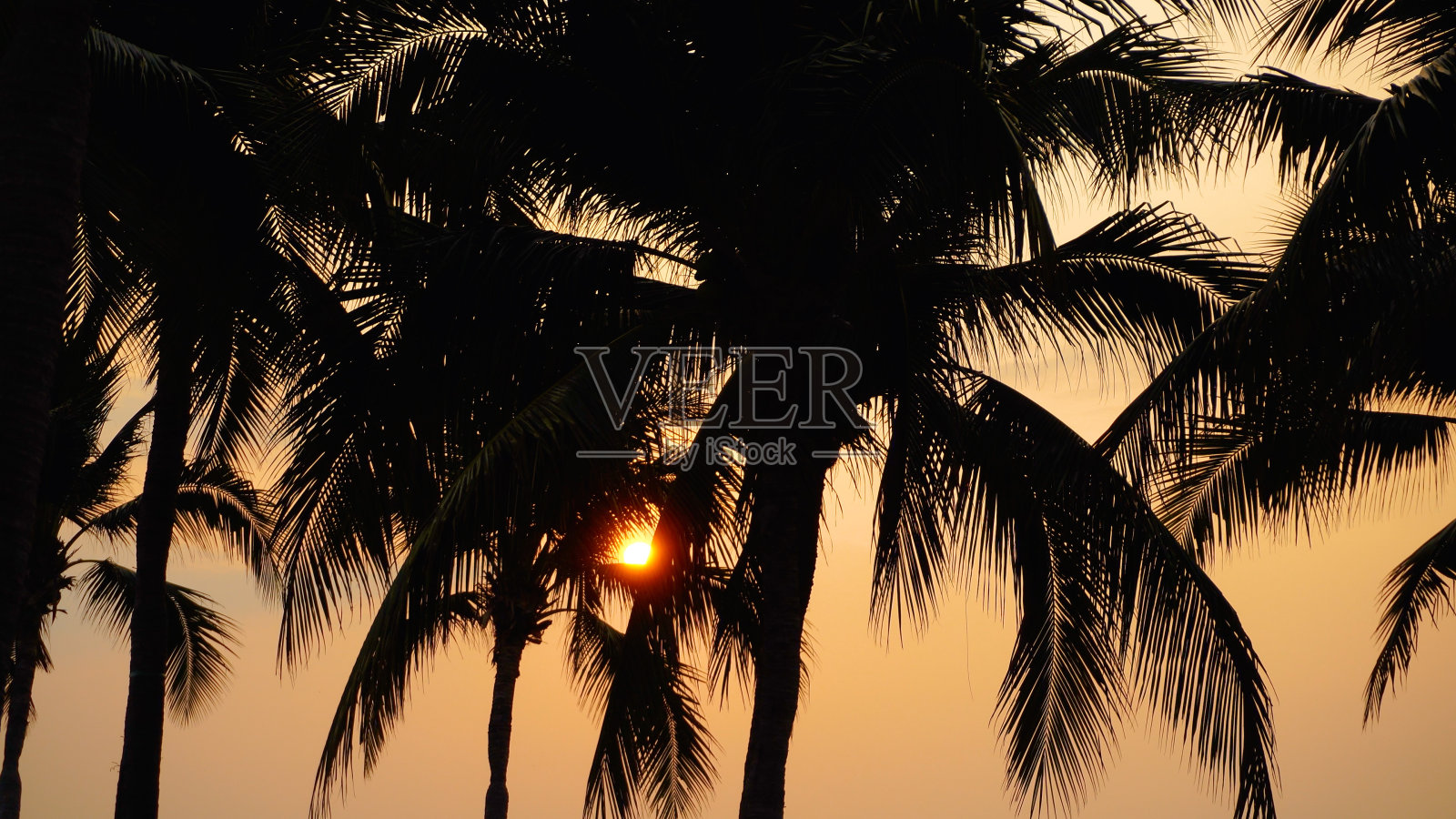 晚上酒店游泳池。照片摄影图片