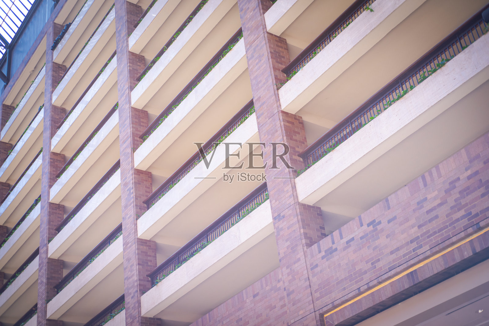 在德克萨斯州达拉斯的现代酒店的庭院中庭查找带有绿色室内植物的观景阳台，大型露天或天窗空间被多层建筑包围照片摄影图片