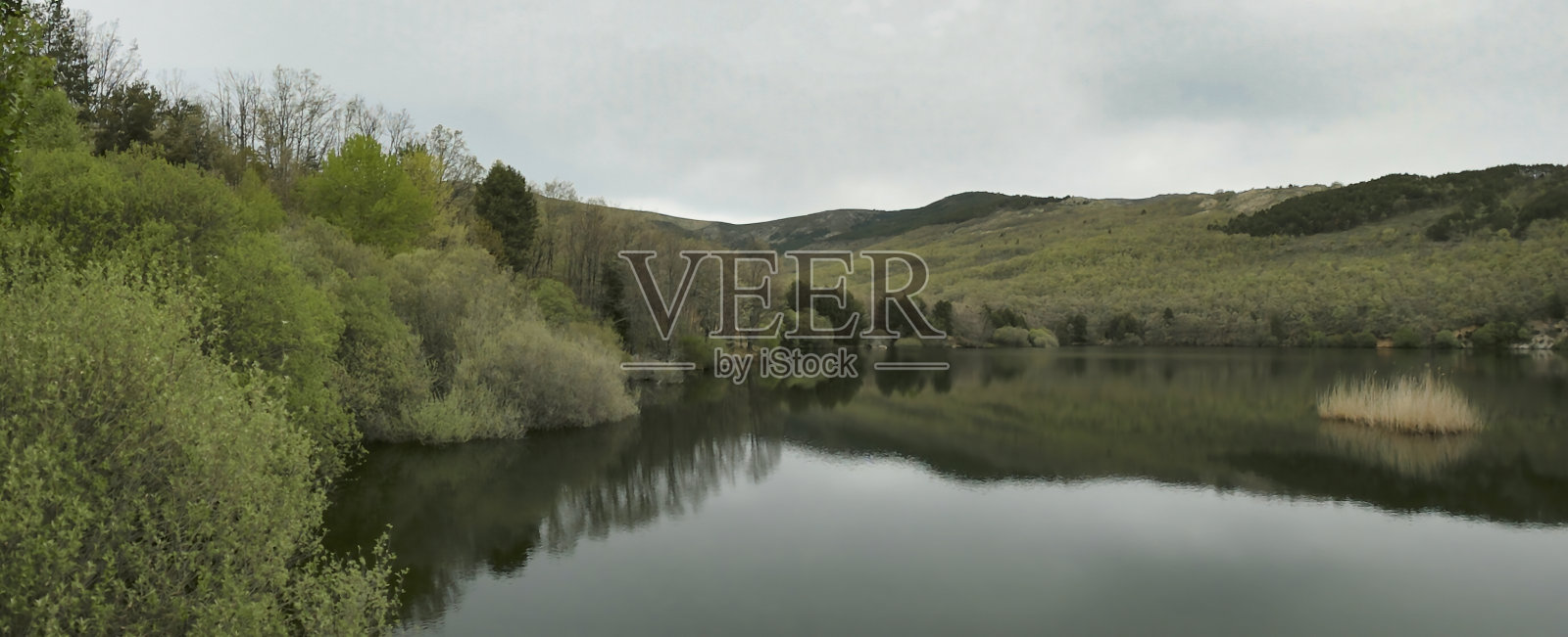 风景，景色，山峦，自然，户外，山峦，野生动物，植物，植物群，美丽，早晨，照片摄影图片