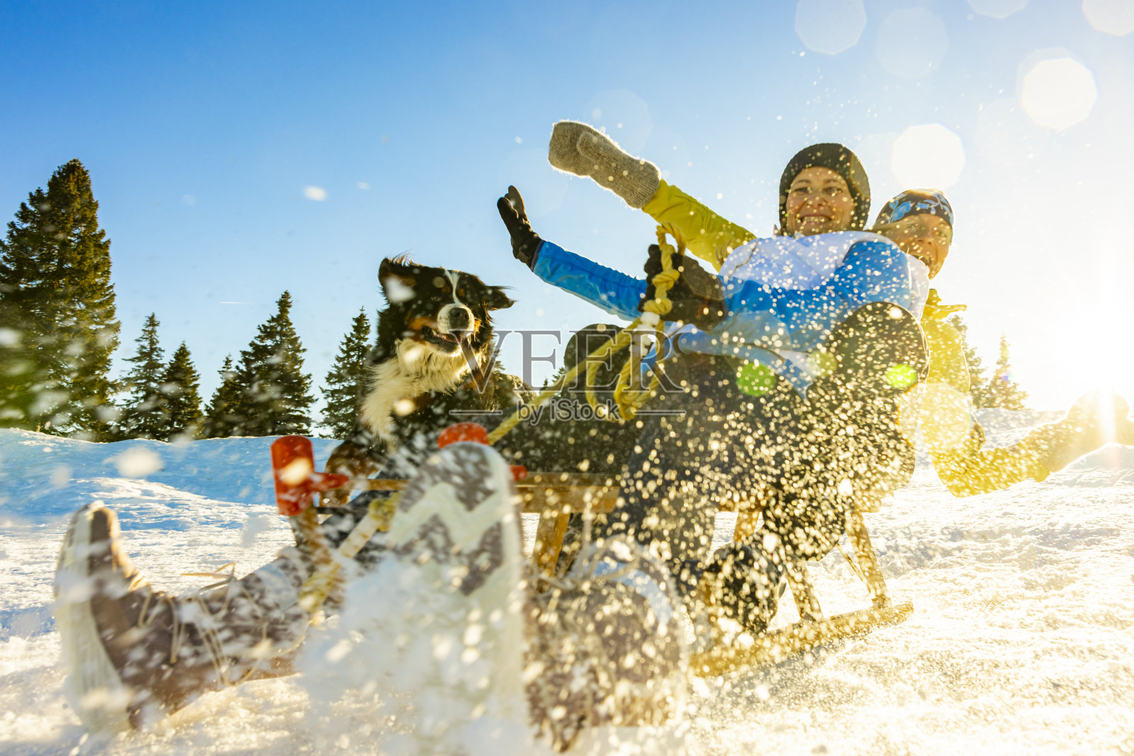 两个女人带着宠物狗在雪山上滑雪橇照片摄影图片