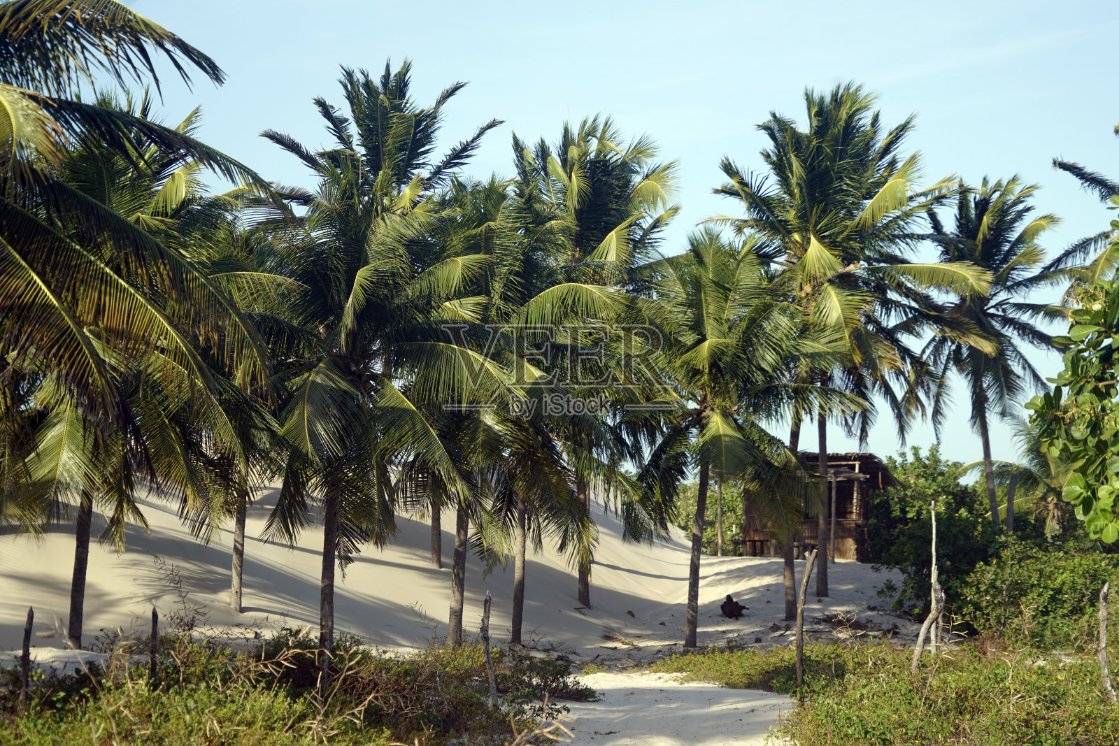 Lençóis马拉内塞斯国家公园照片摄影图片