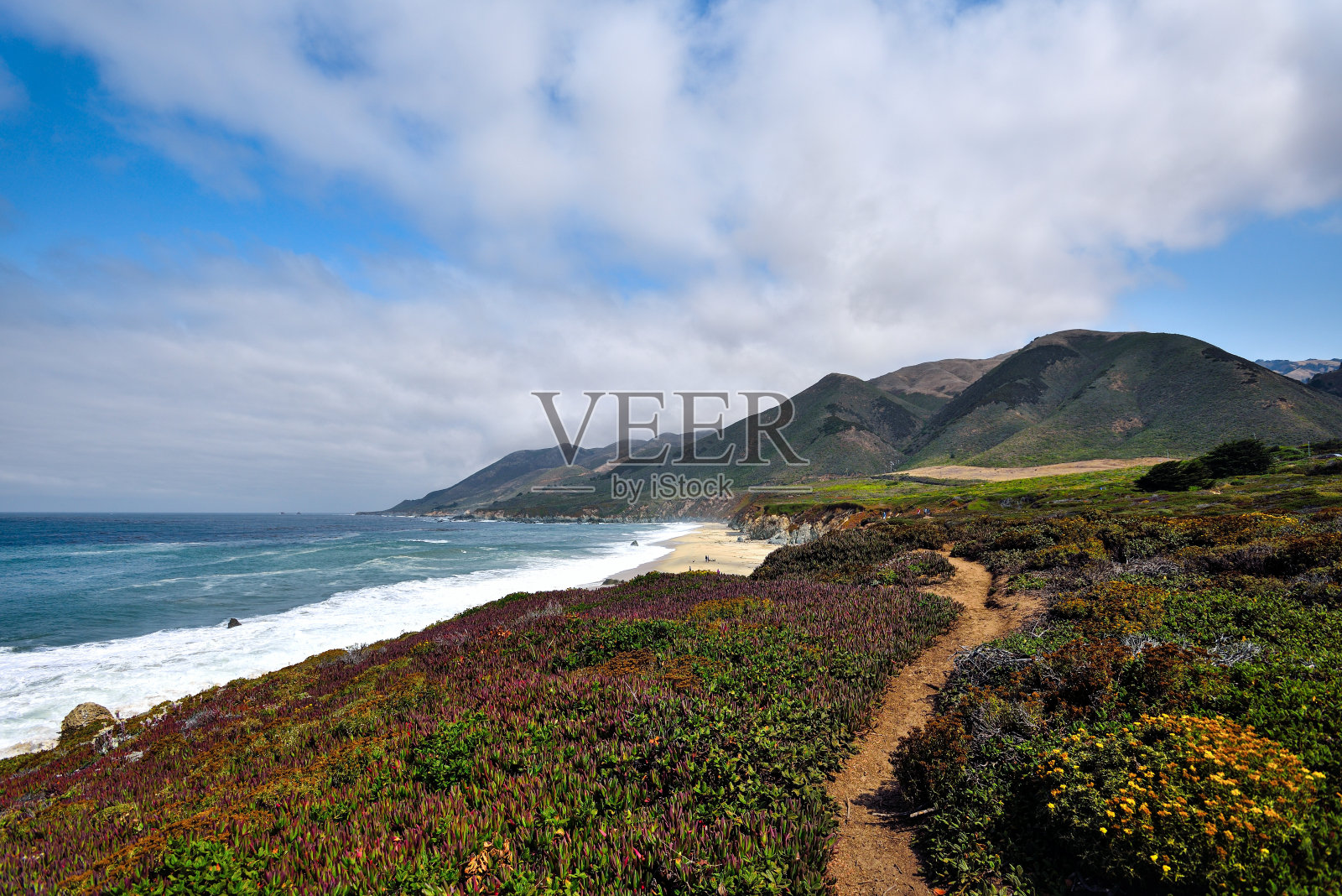 加州大苏尔加拉帕塔州立公园海滩旁的小山上的田园诗般的小径照片摄影图片