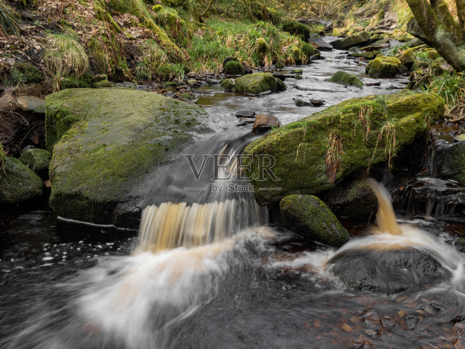 英格兰的山河，梦幻般的景色，布满青苔的石头和森林里美丽的瀑布。阳光明媚的小溪在春天多云的约克郡的傍晚。被青苔和秋叶包围的小瀑布照片摄影图片