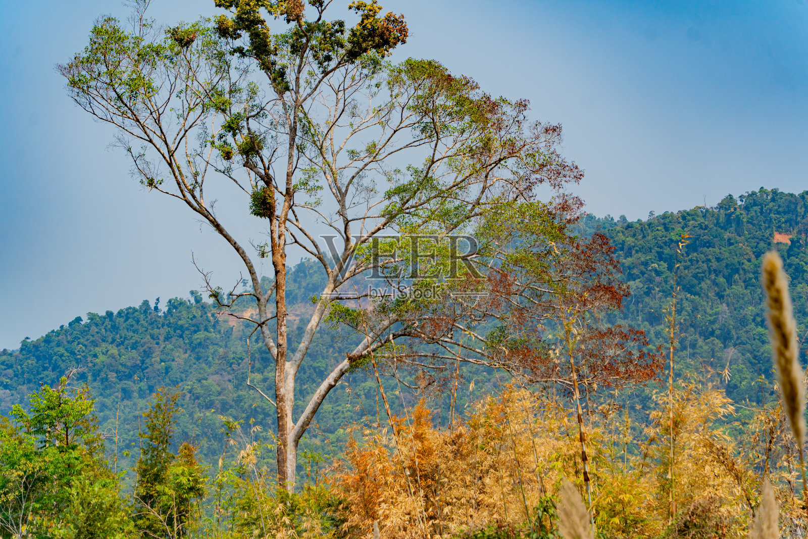 山的风景。照片摄影图片