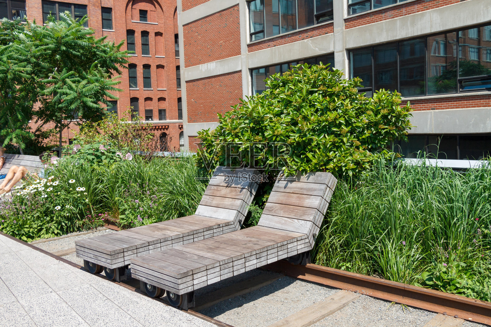 纽约高架公园照片摄影图片