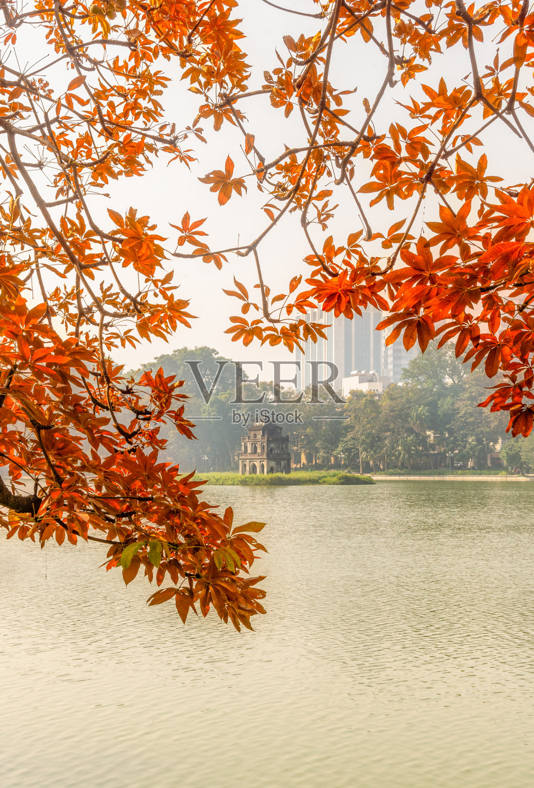 龟塔照片摄影图片