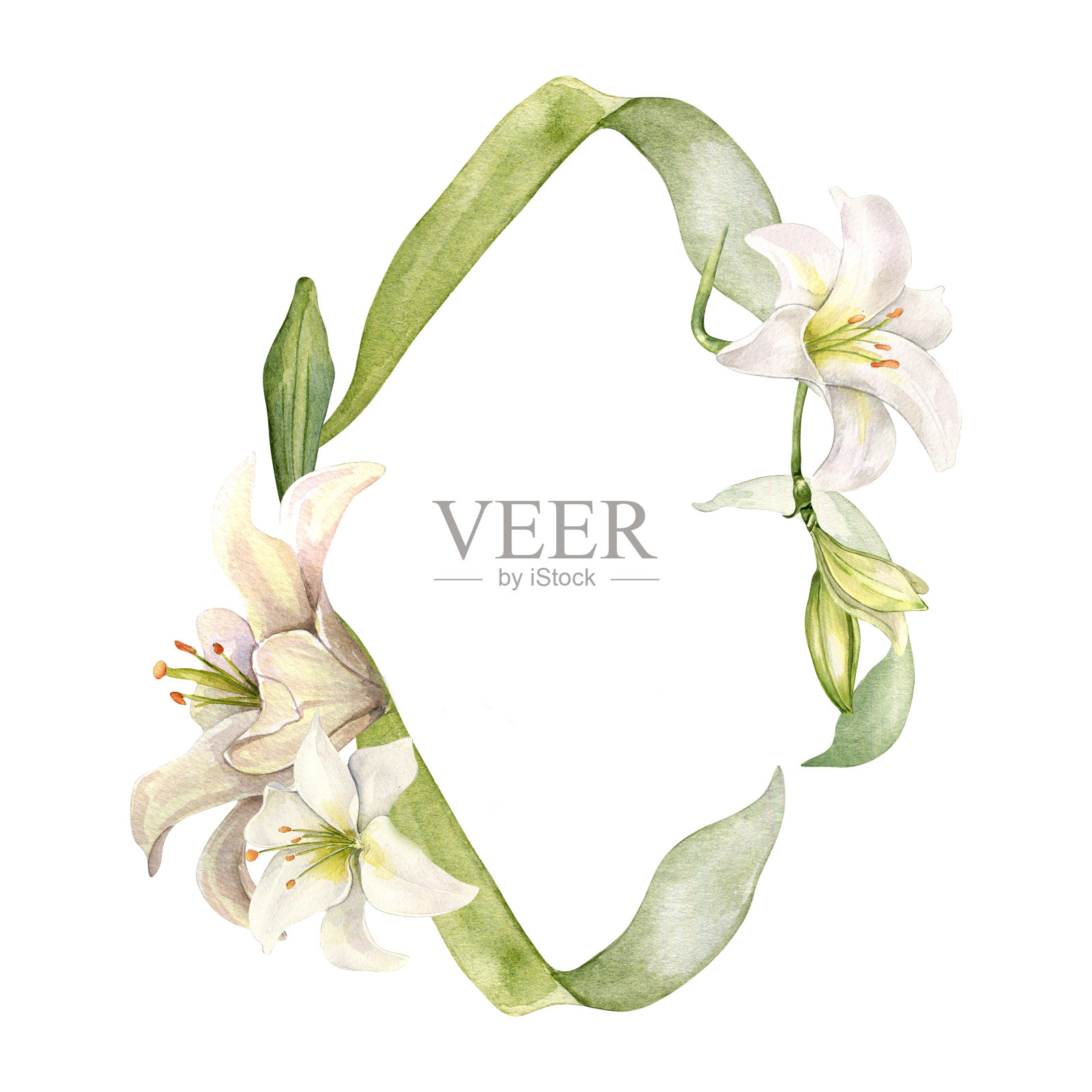 水彩百合和植物茎框孤立在白色上。白花百合和叶子植物艺术手绘。花圈颜色柔和。设计婚礼，洗礼，复活节贺卡插画图片素材