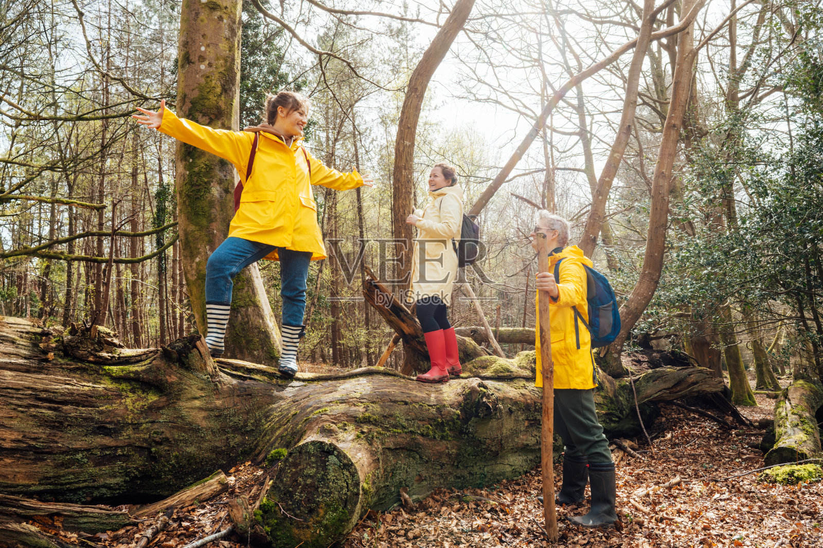 一群朋友背着背包在森林里散步。徒步旅行中有冒险的生活方式，自然徒步旅行中有度假度假的旅程。旅游、远足、友谊的理念。户外活动。照片摄影图片