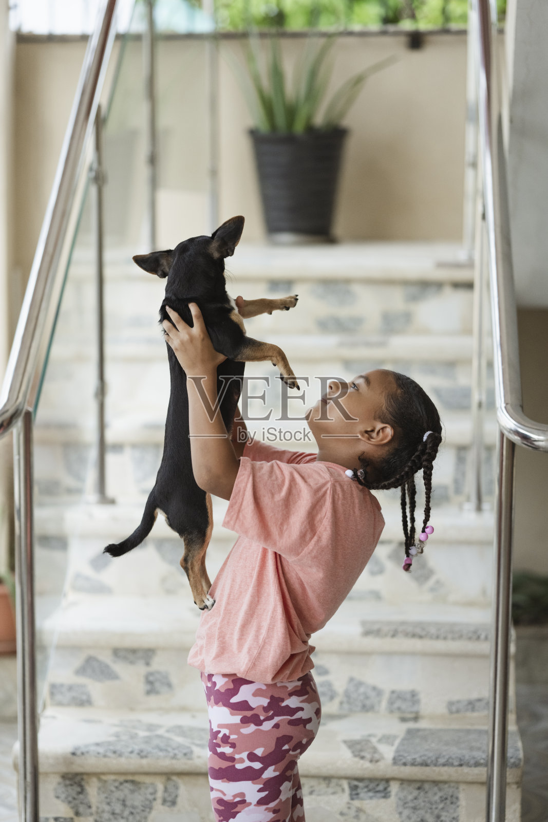 兄弟姐妹和他们的狗一起玩耍，哥哥和妹妹照片摄影图片