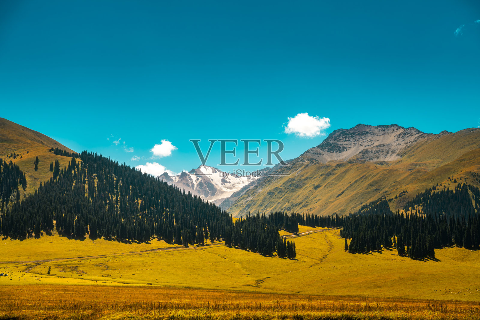 中国新疆天山腹地的那拉提草原风光照片摄影图片